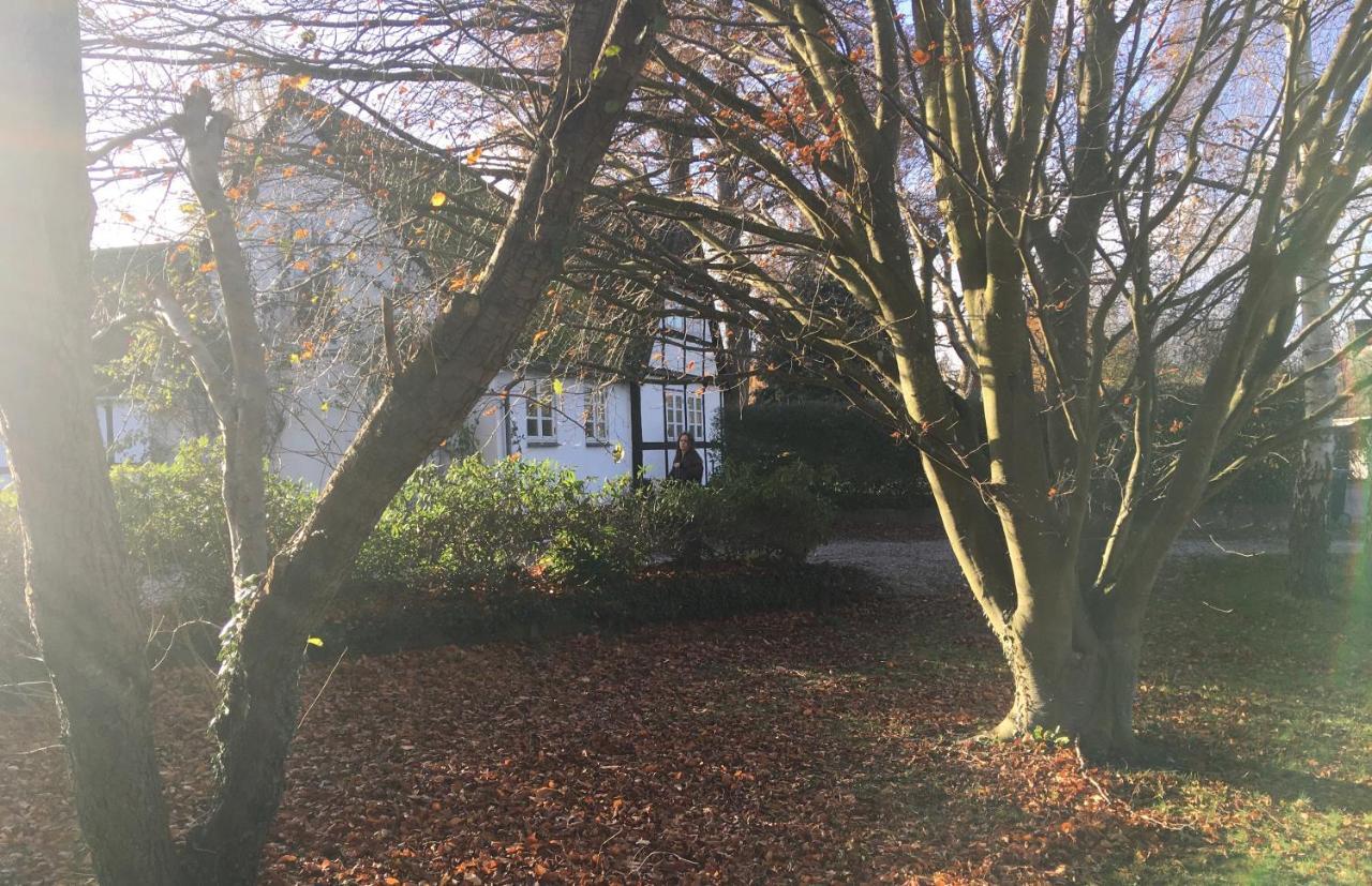Hotel Hvidegaard Mon Stege Exteriér fotografie