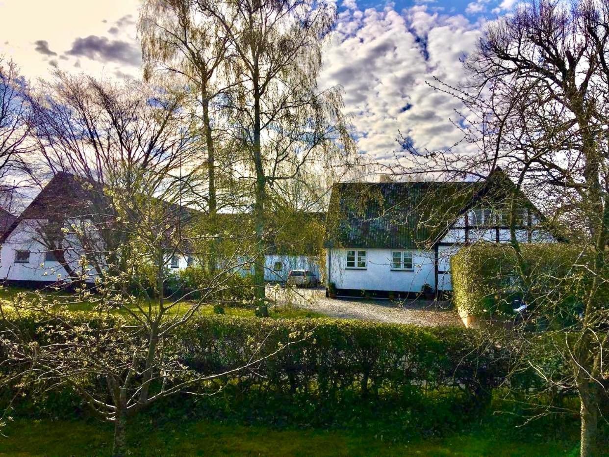 Hotel Hvidegaard Mon Stege Exteriér fotografie